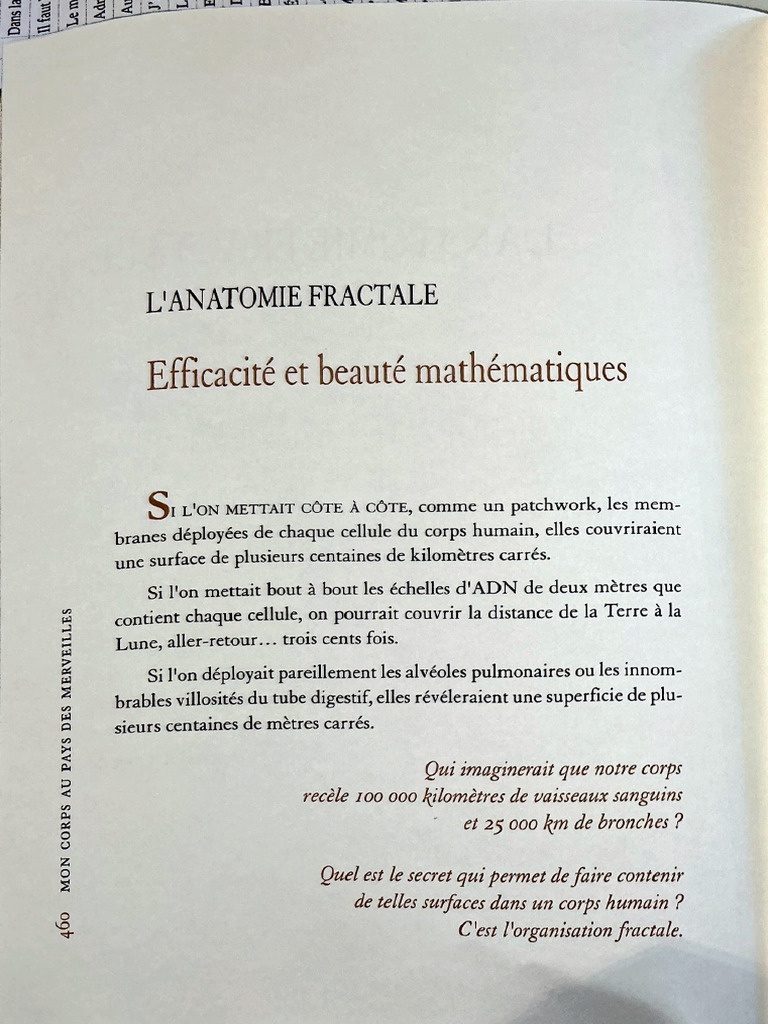 Anatomie fractale et beauté mathématique | PDF | Anatomie