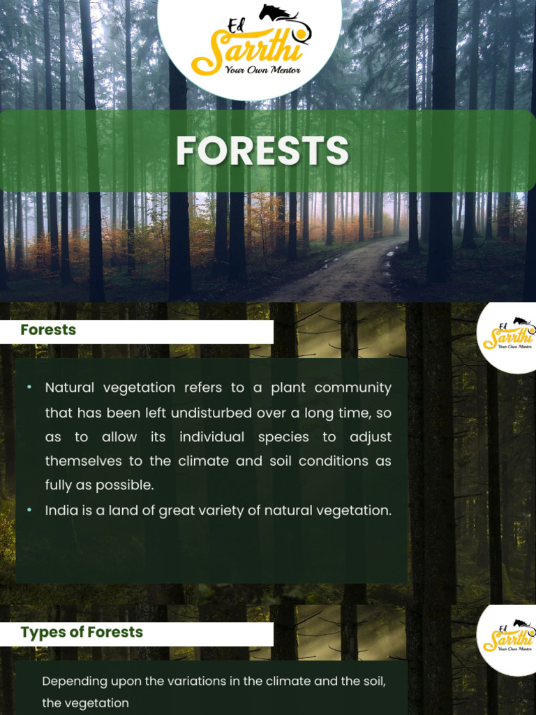 490) (Geography) Indian Geography - Forests | PDF | Forests | Tropics