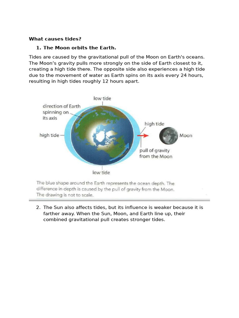 What Causes Tides | PDF