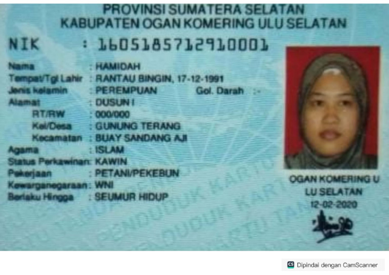 Hamidah | PDF