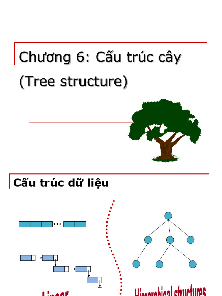 B11 Tree | PDF
