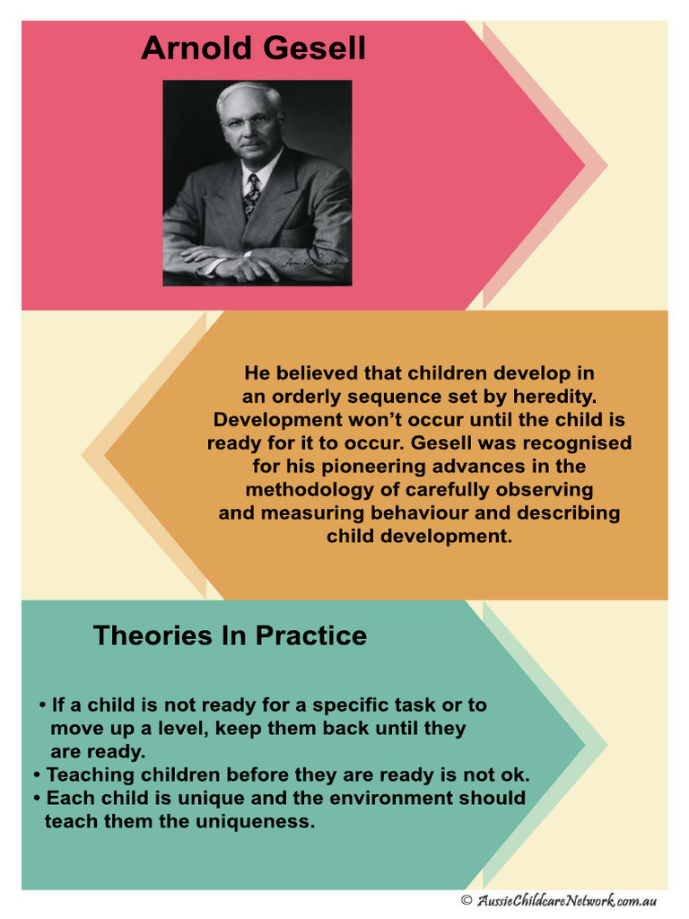 Child Theorist Arnold Gesell | PDF