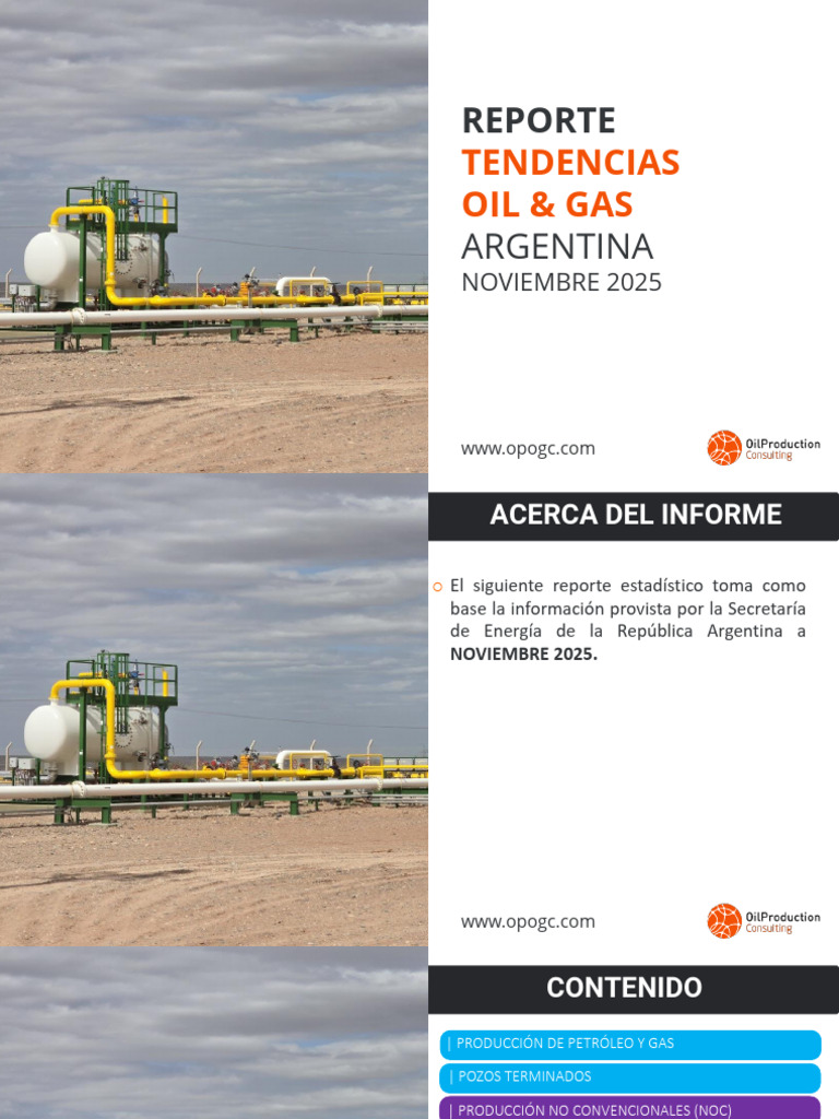 Producción de Petróleo y Gas en Argentina | PDF | Combustibles ...