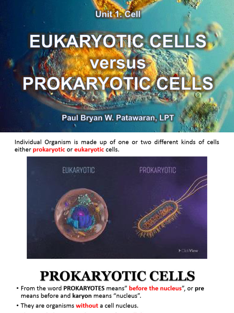 Bioc311 Week 3 2 Eukaryotic Vs Prokaryotic Cells and Cell Types | PDF ...