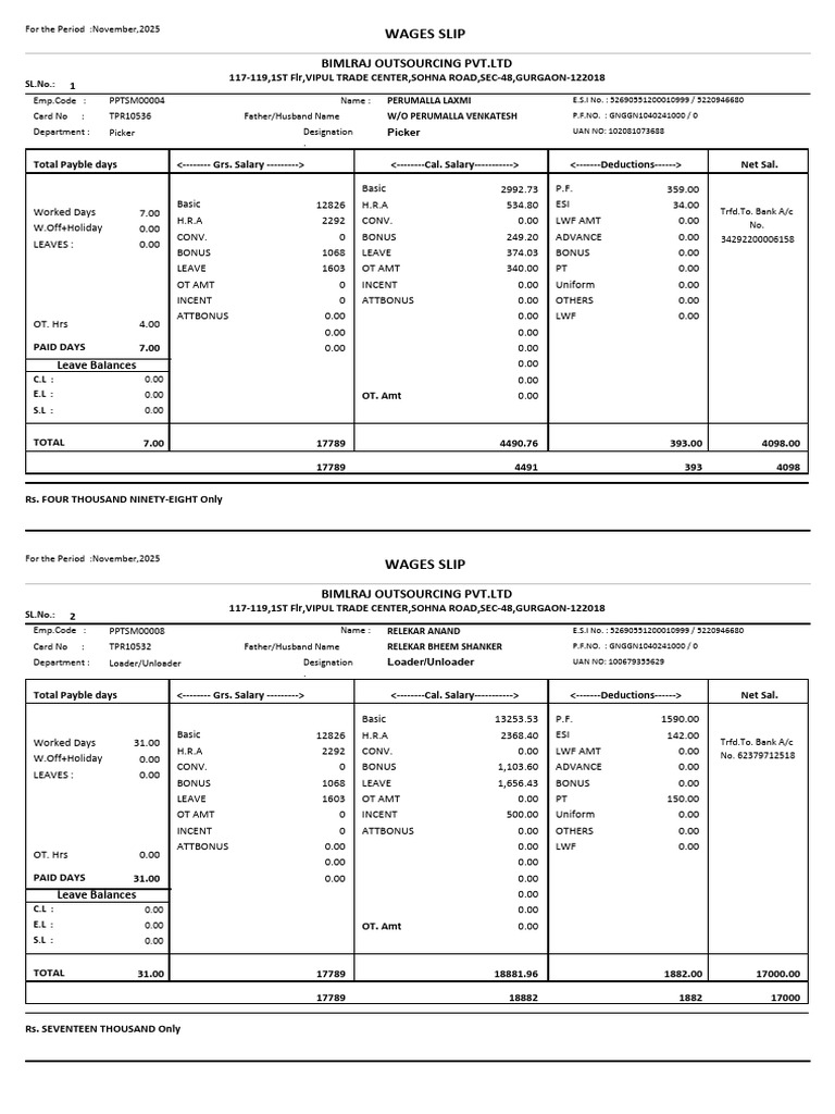 November 2025 Salary Slips Summary | PDF