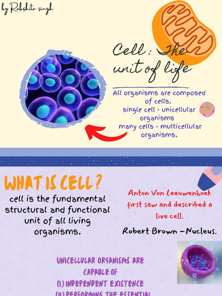 Understanding Cell Structure and Function | PDF | Cell (Biology) | Cell ...
