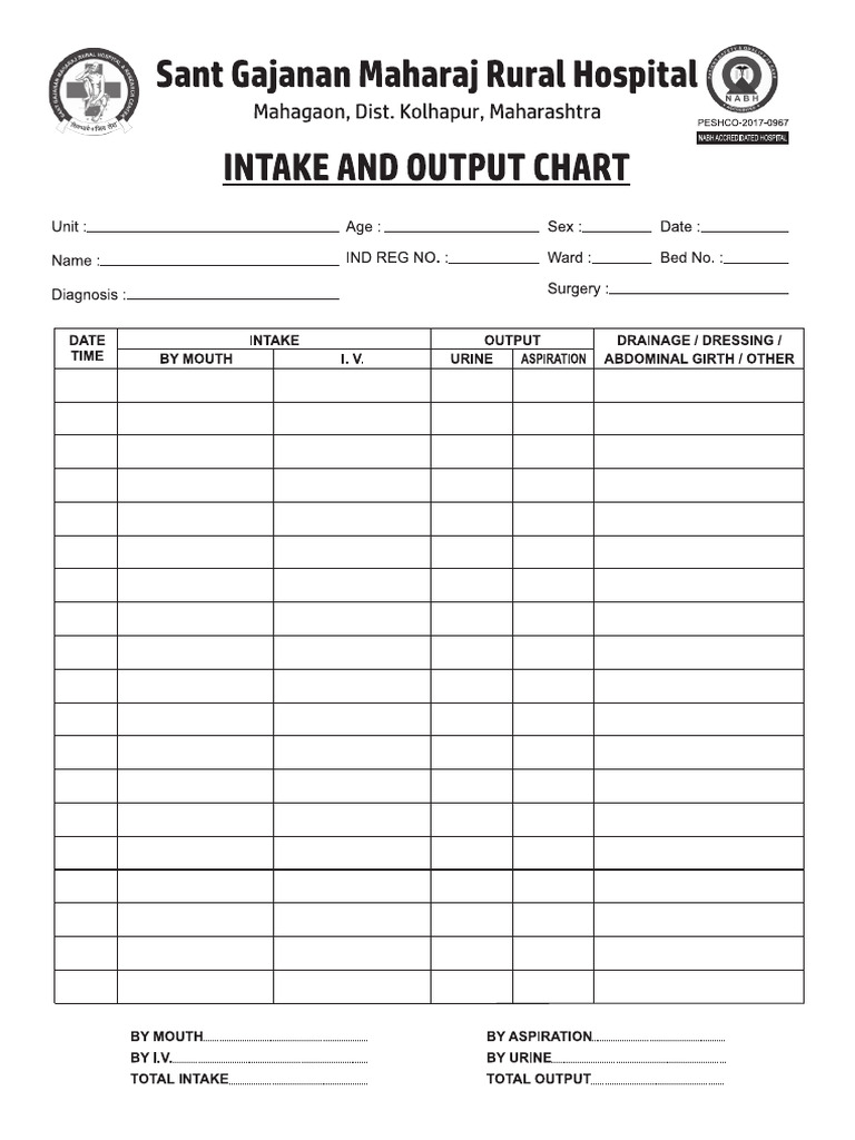 Intake and Output Chart | PDF