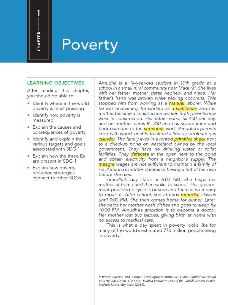 Understanding Global Poverty Issues | PDF | Cost Of Living | Poverty