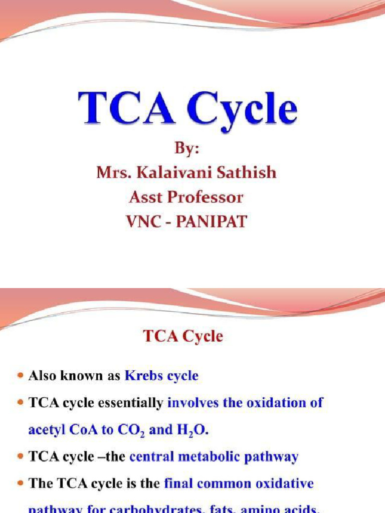 The Citric Acid Cycle | PDF