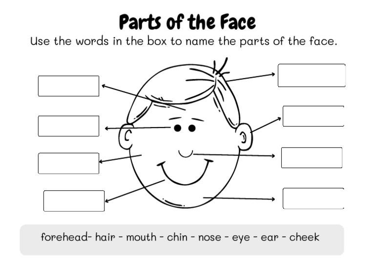 Black and White Label The Parts of The Face Printable Worksheet | PDF