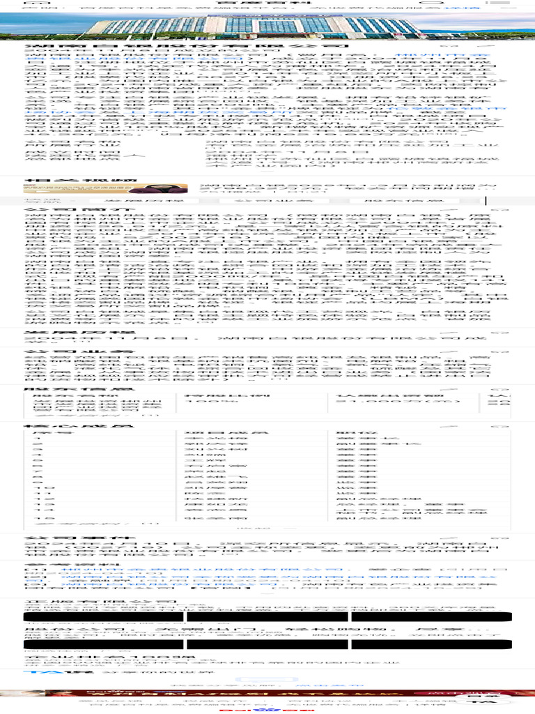 湖南白银股份有限公司_百度百科| PDF