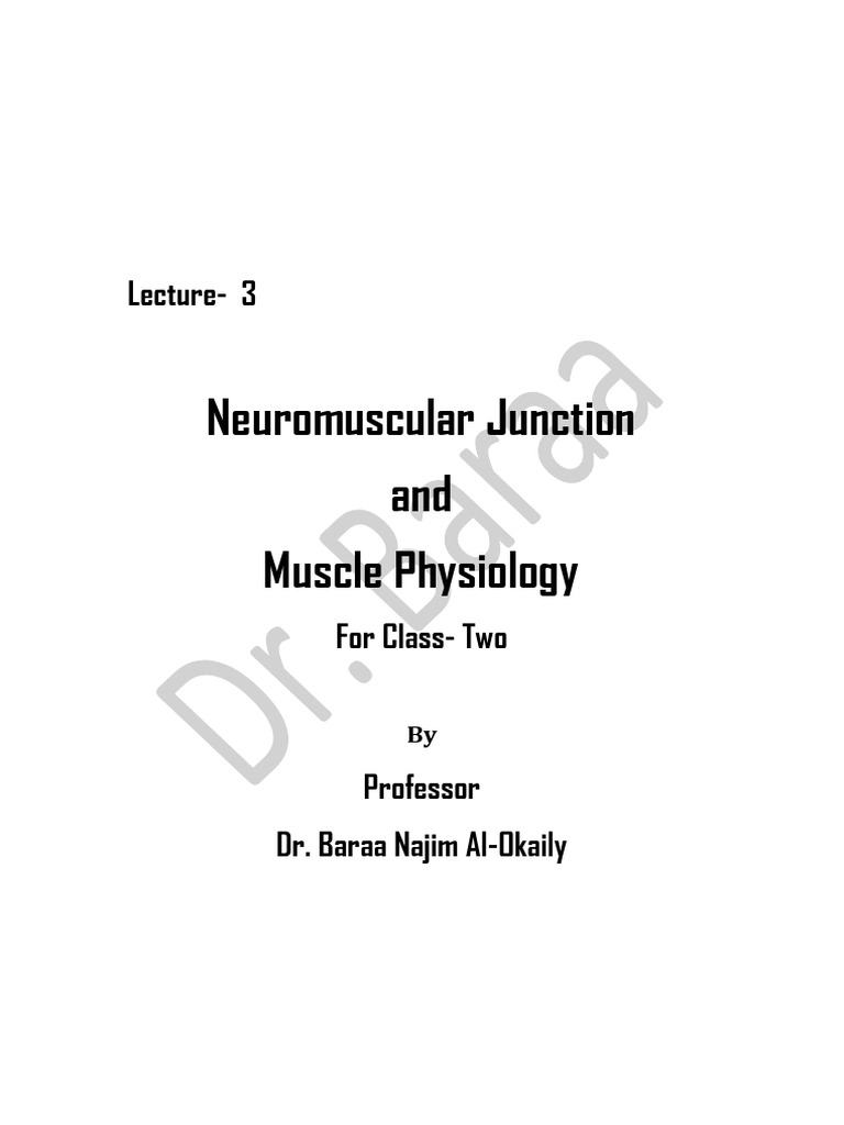 Neuromuscular Junction & Muscle Physiology | PDF | Neuromuscular ...