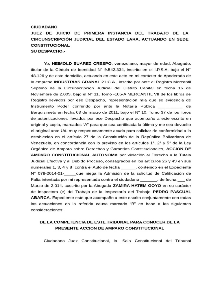 Acción de Amparo Constitucional Laboral | PDF | Debido al proceso | Ley ...