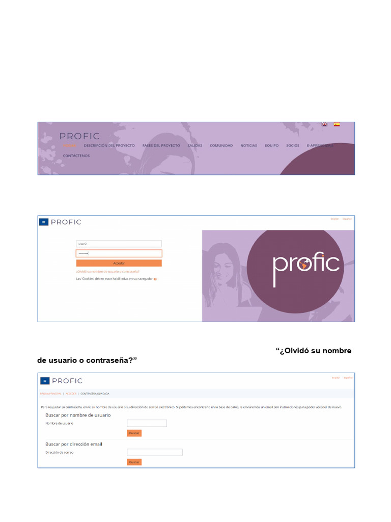Guía de Acceso y Uso de PROFIC | PDF | Contraseña | Software