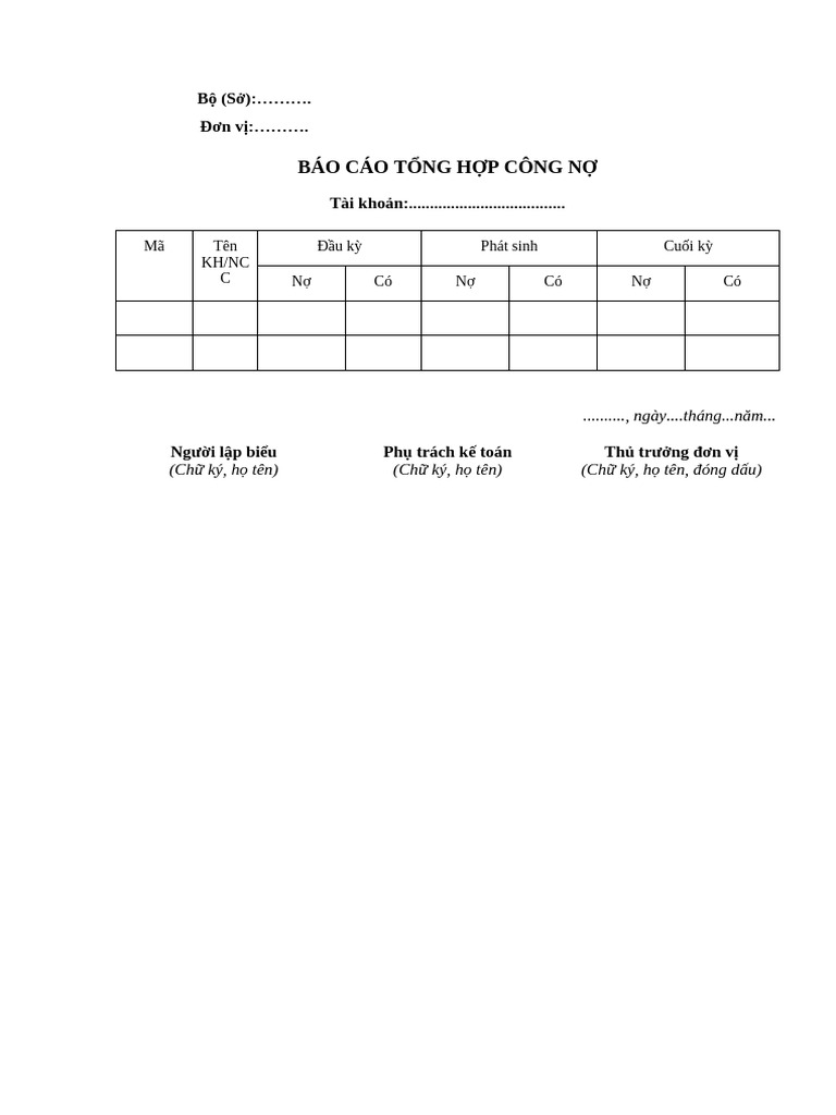 Bao Cao Tong Hop Cong No | PDF