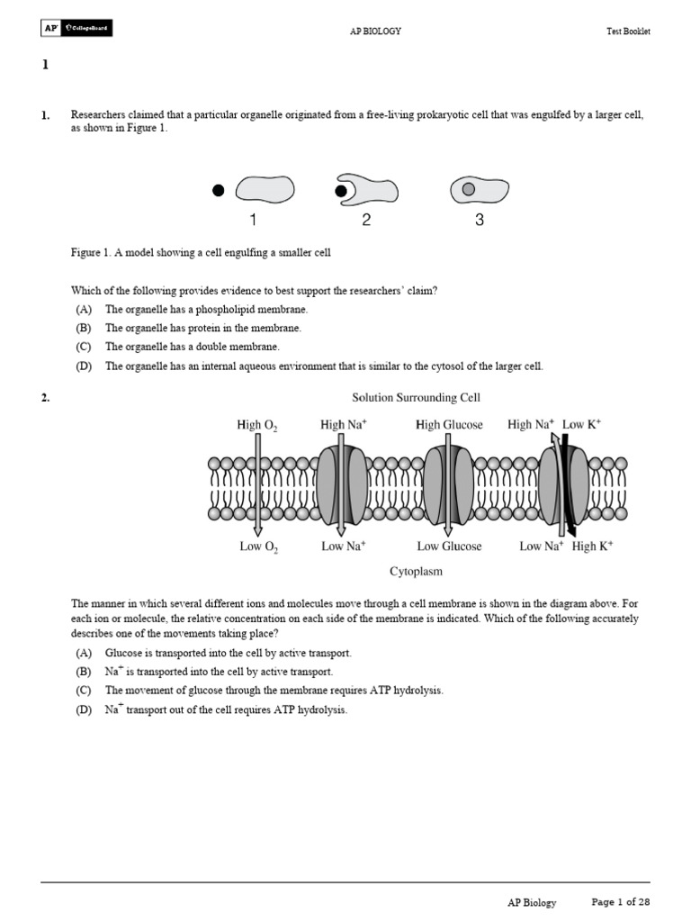 TB 1 6888e13ff037b1.6888e1432f3c15.72301193 | PDF | Cell Membrane ...