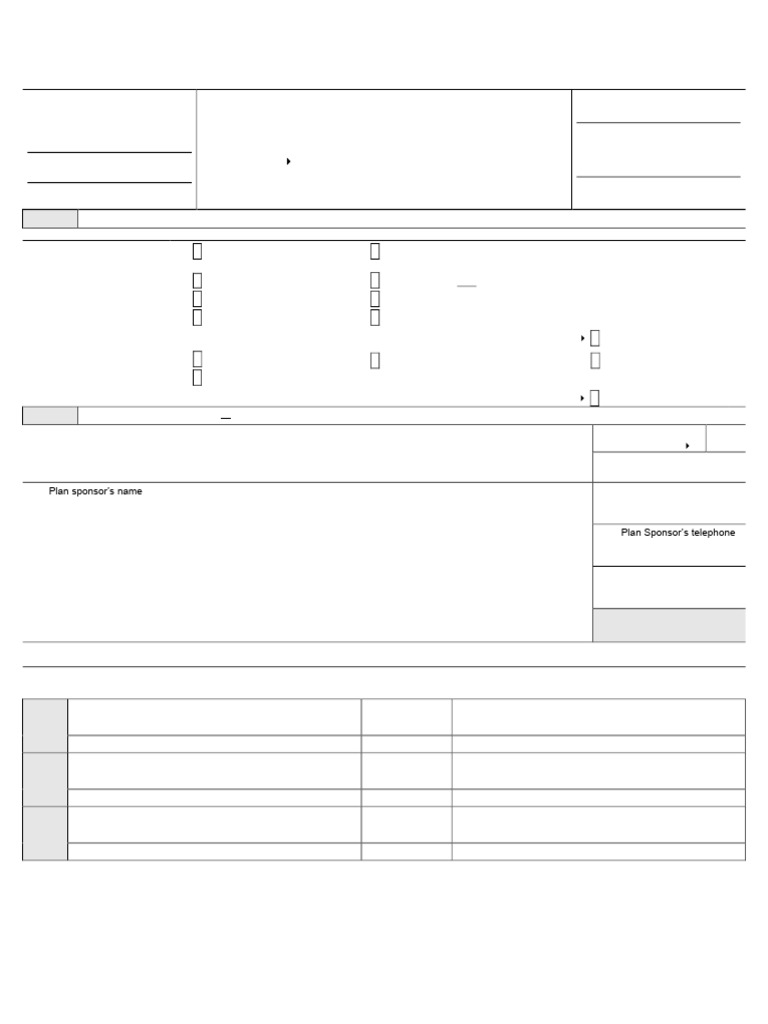 Form 5500 Annual Report 2024 | PDF | Insurance | Pension