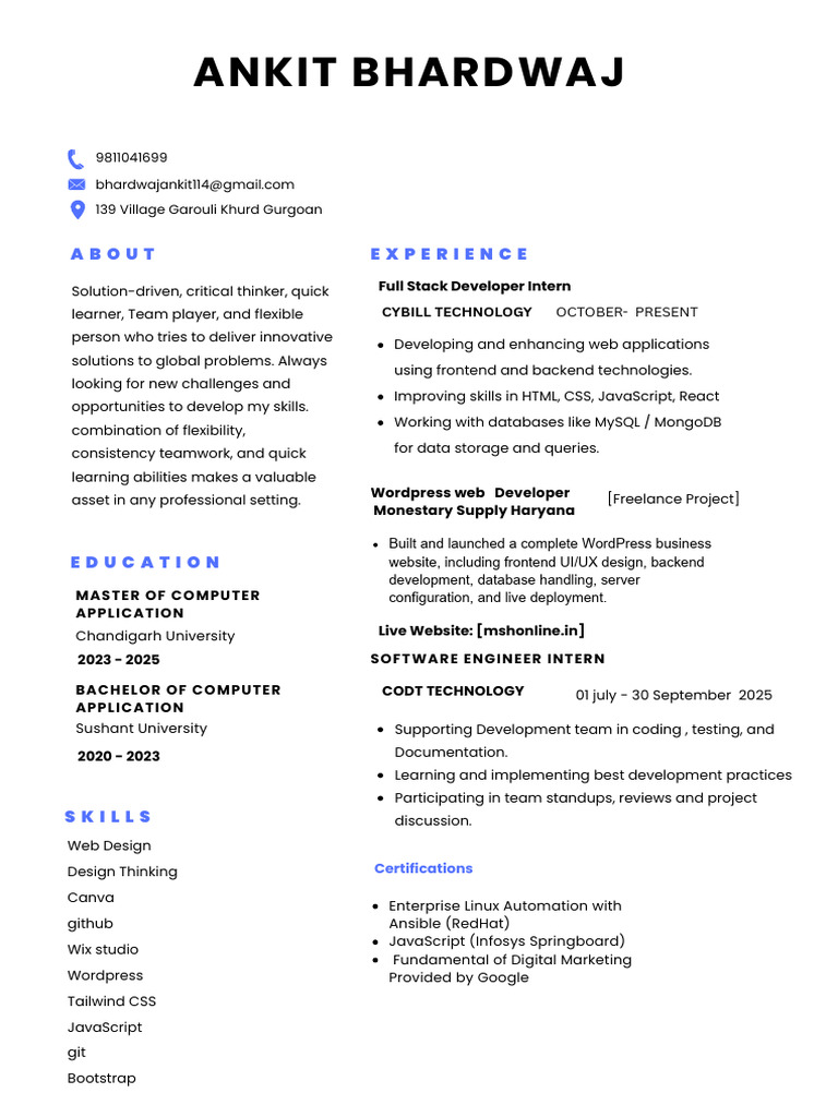 Ankit Bhardwaj: Web Developer Profile | PDF | Java Script | Databases