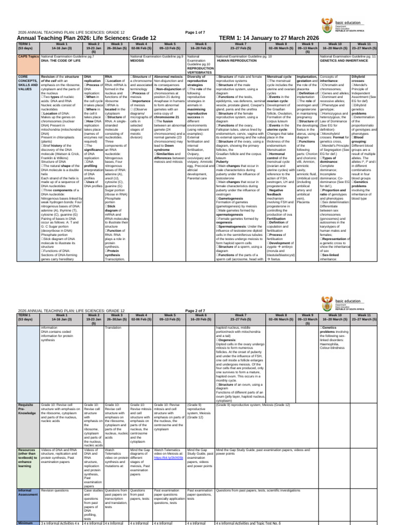 2026 Grade 12 Life Sciences Plan | PDF | Neuron | Meiosis