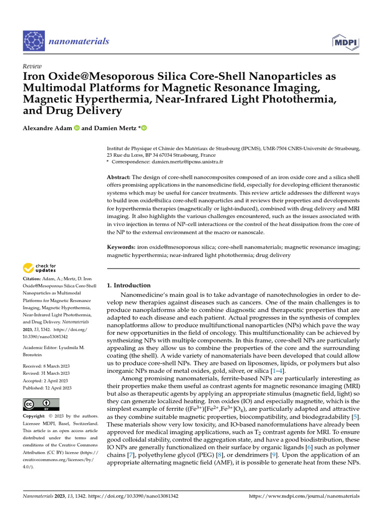 Adam2023 Ironoxide Mesoporous Silica | PDF | Ferromagnetism | Nanomedicine