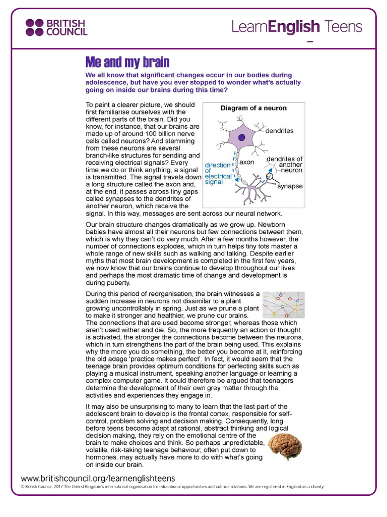 Text Homework | PDF