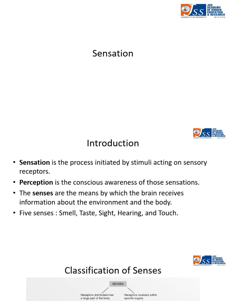 Sense Organs | PDF