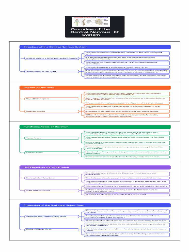Central Nervous System Overview | PDF | Central Nervous System | Brain