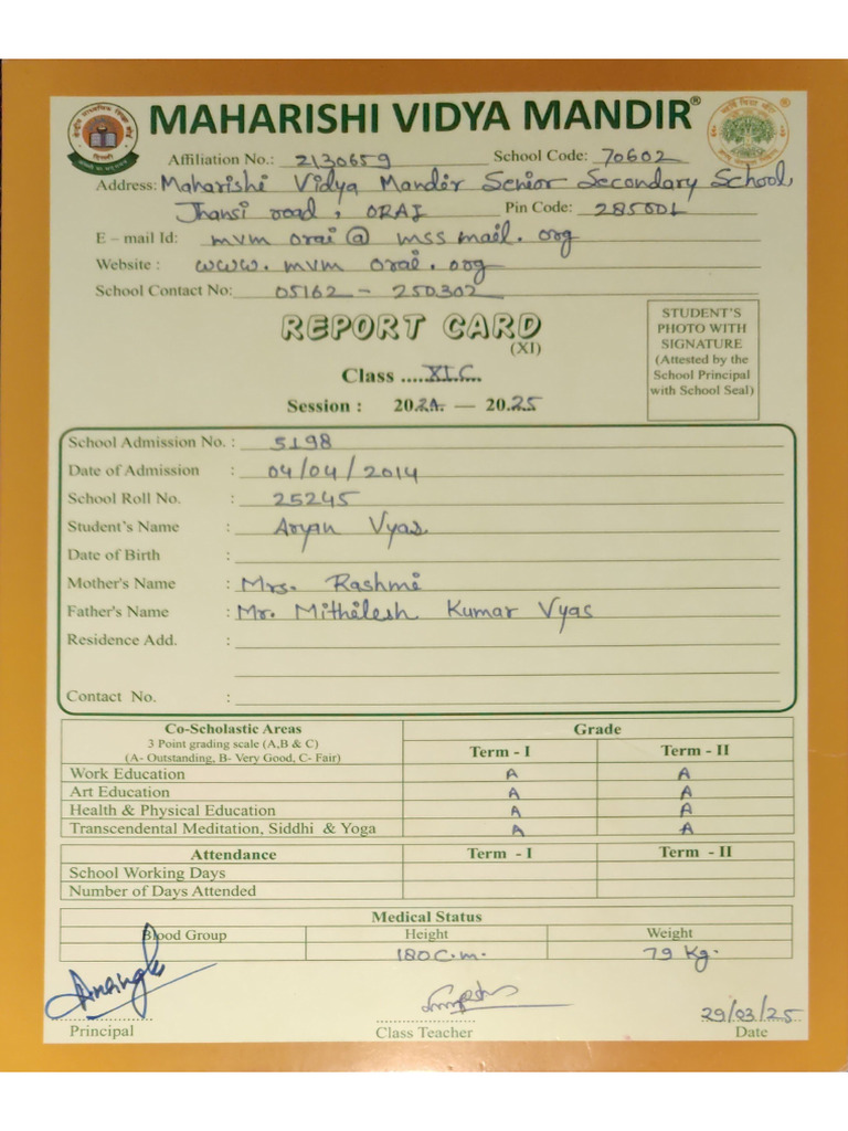 Aryan Vyas Class 11 Mark Sheet | PDF