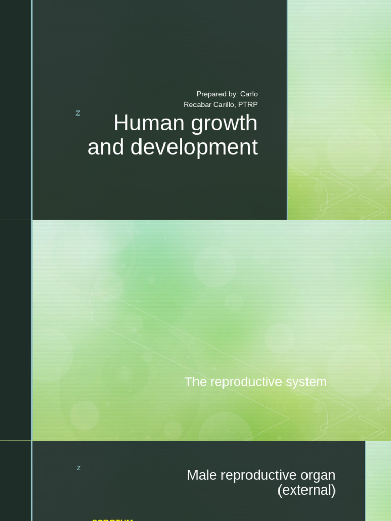 Human Reproductive System Overview | PDF | Mitosis | Menstrual Cycle