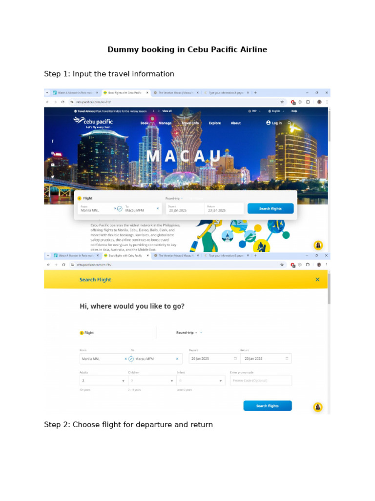 Dummy Booking | PDF