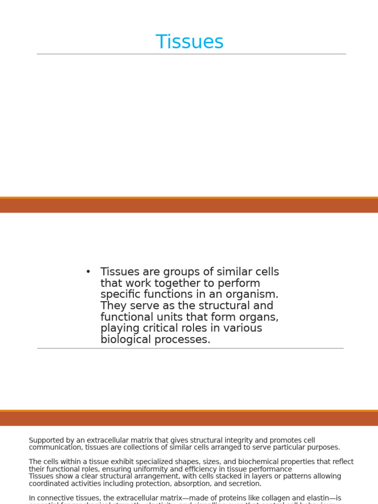 Tissues Are Groups of Similar Cells That Work | PDF | Tissue (Biology ...