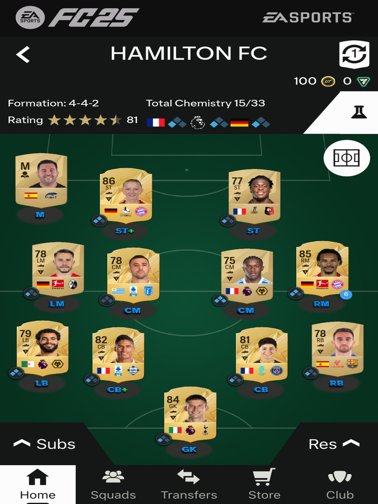 Hamilton FC Squad Overview 2023 | PDF
