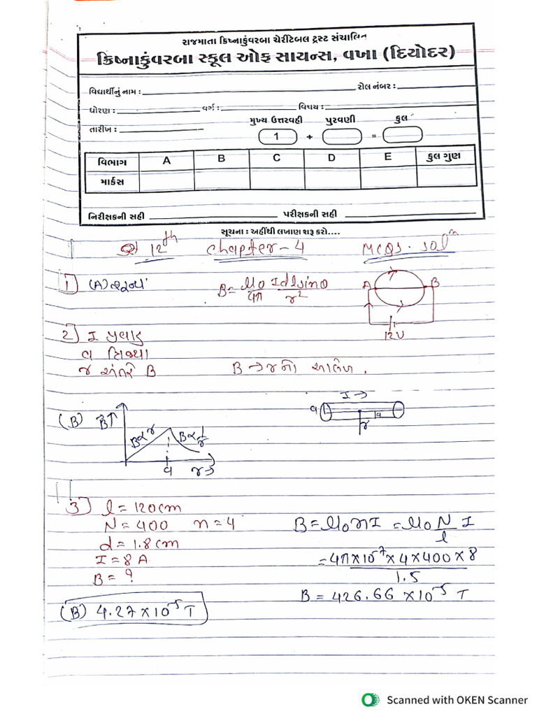 STD 12th Chapter 4 Mcqs Solution | PDF