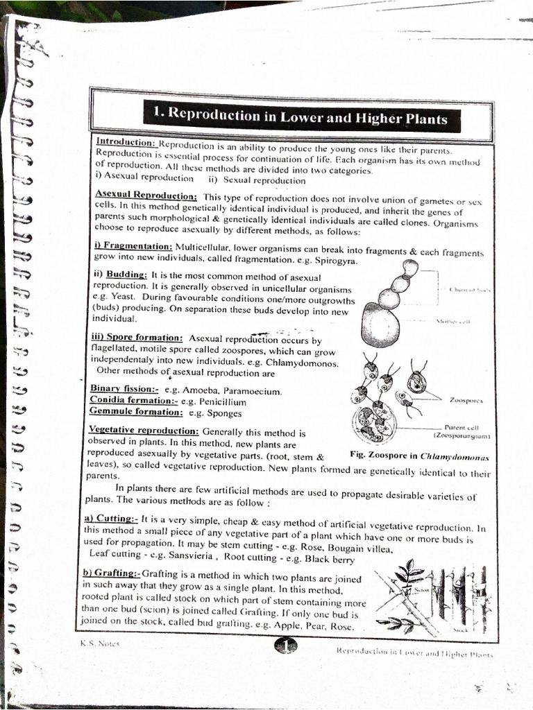 Bio Chap 1 | PDF