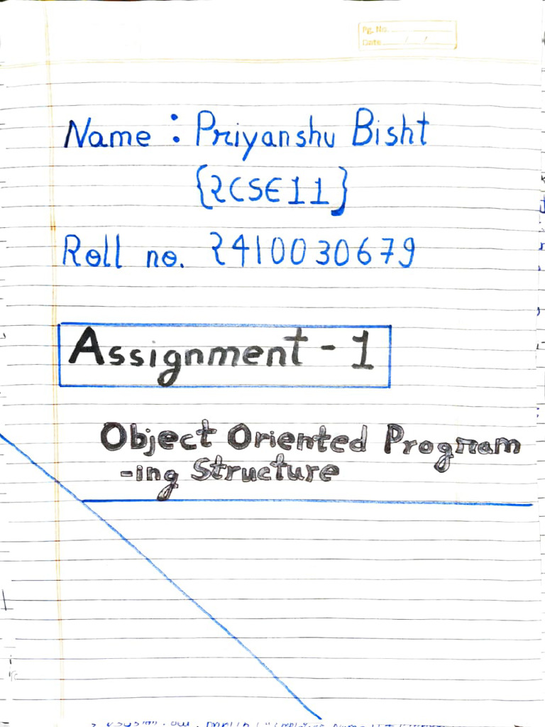 OOPs Assignment 1 | PDF