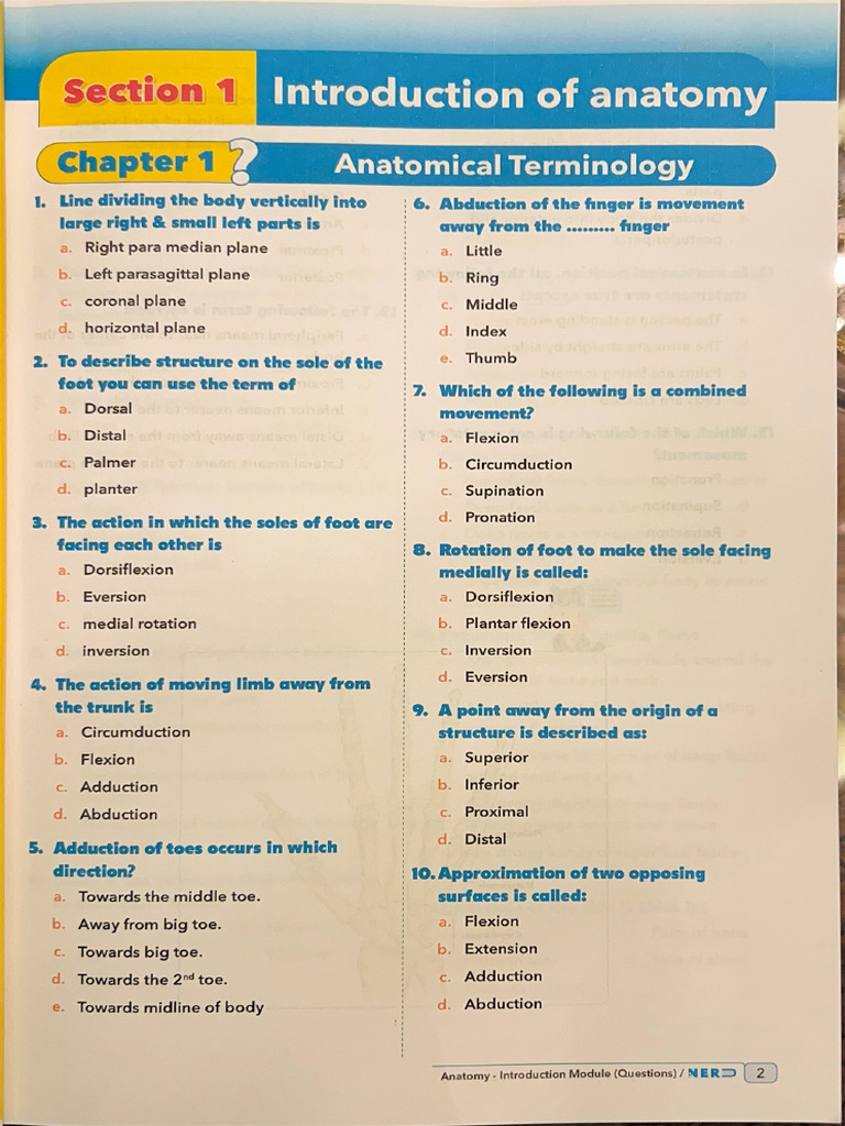 Section 1 | PDF