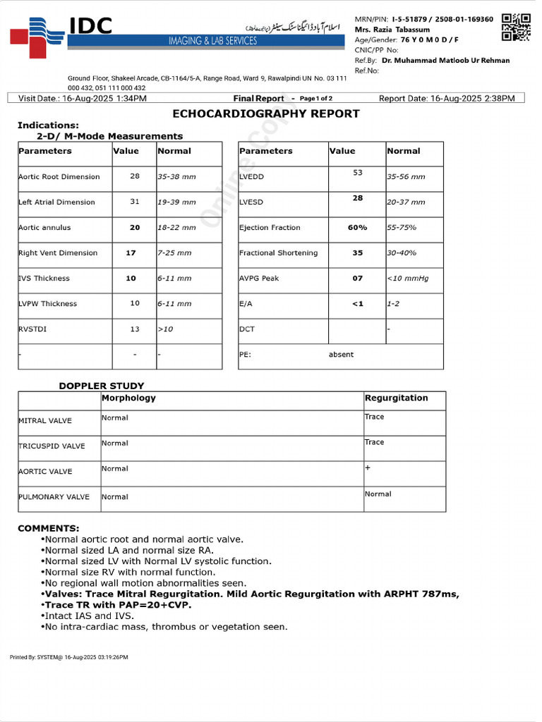 Patient Report PDF | PDF
