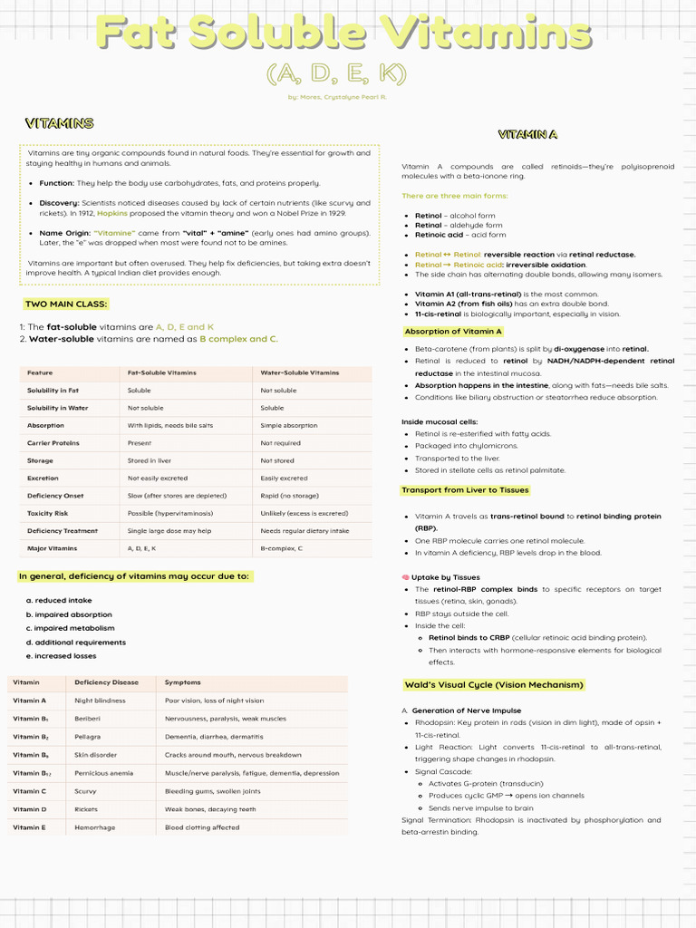 Essential Guide to Vitamin A Functions | PDF | Retinal | Vitamin A