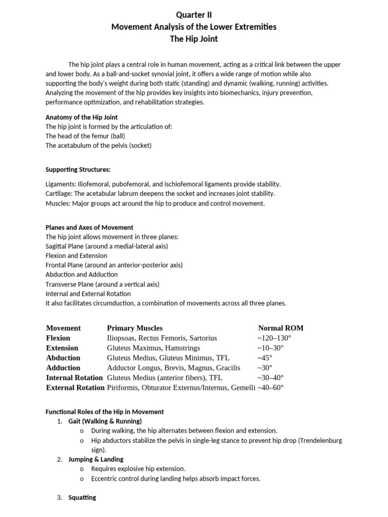Hip Joint Movement Analysis Guide | PDF | Anatomical Terms Of Motion | Hip