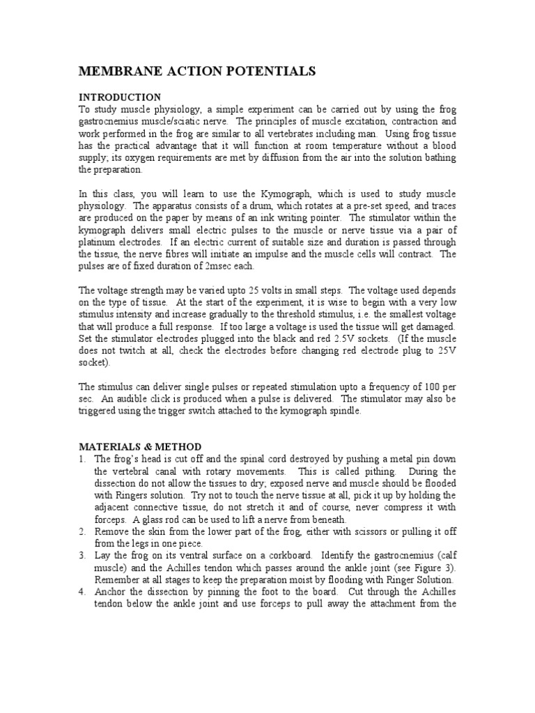 Drugs affecting the cardiovascular system ppt image