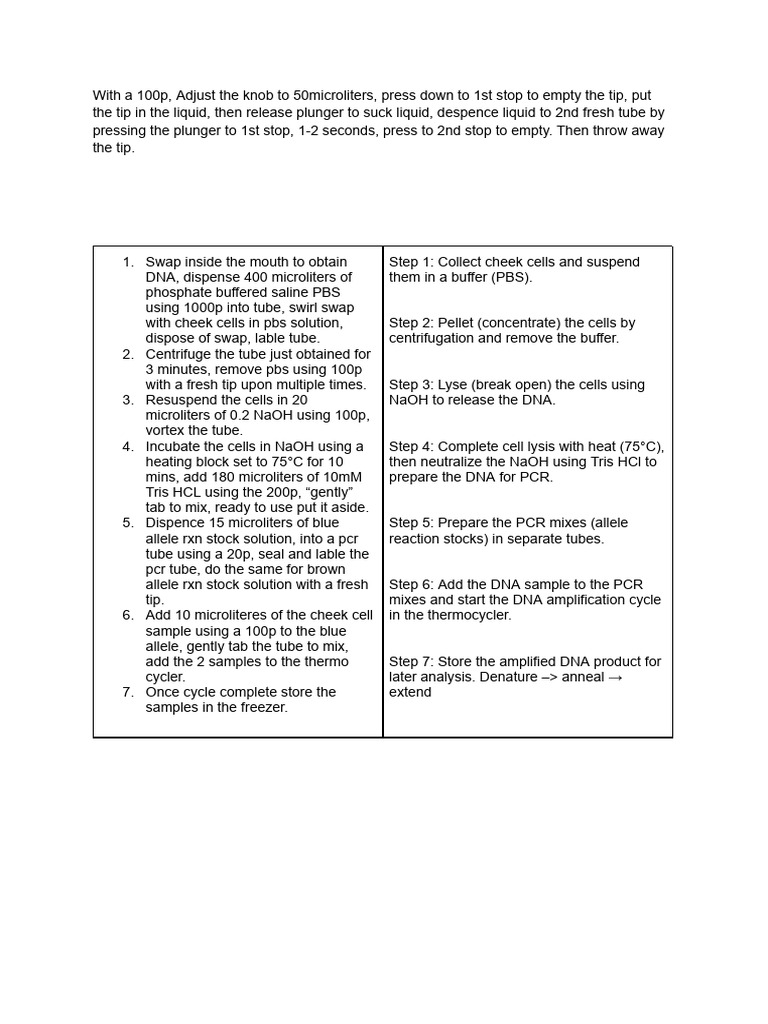 DNA Extraction and PCR Protocol Guide | PDF | Polymerase Chain Reaction ...