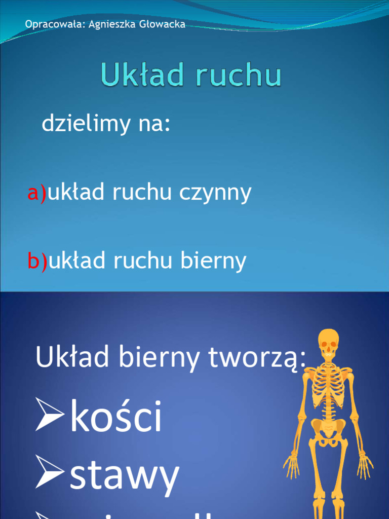 Układ Ruchu | PDF