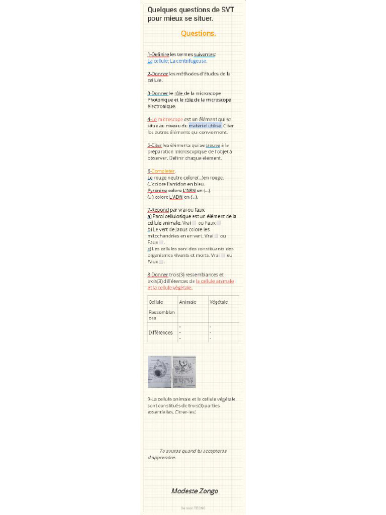 SVT | PDF