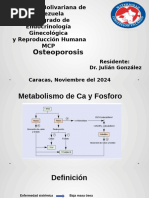 Clasificación de Genant en Fracturas Vertebrales | PDF | Osteoporosis ...