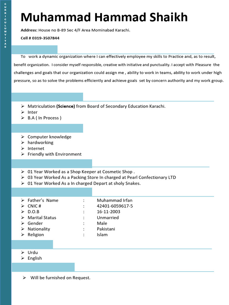 Muhammad Hammad Shaikh CV Summary | PDF