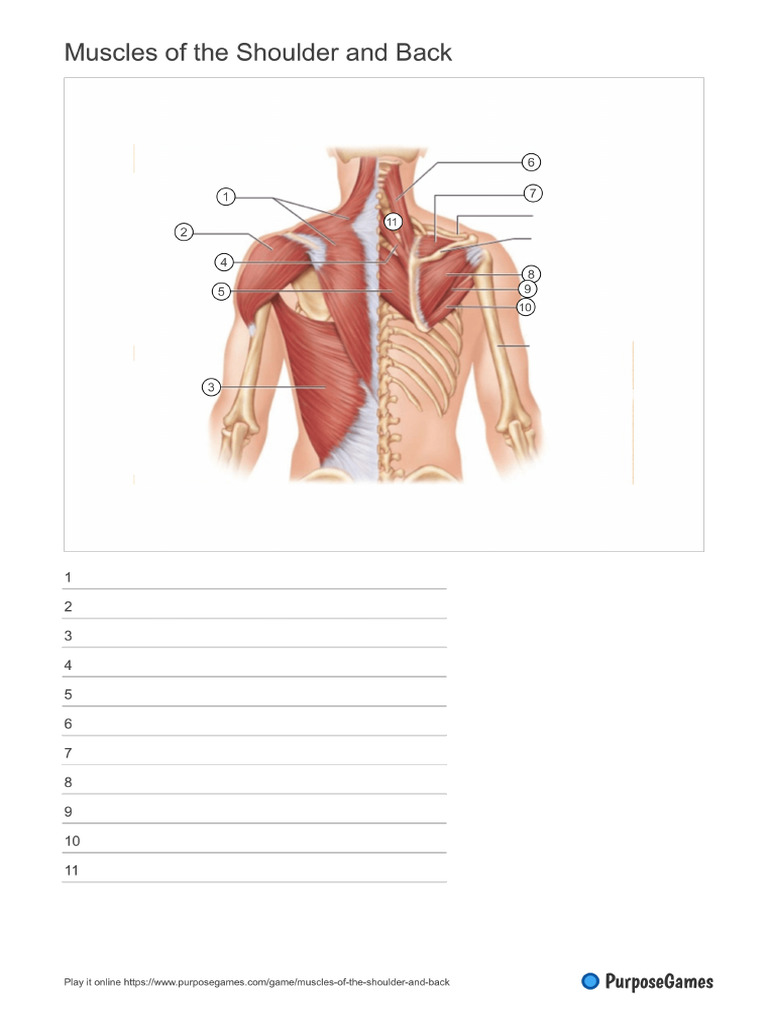 Worksheet 25 | PDF