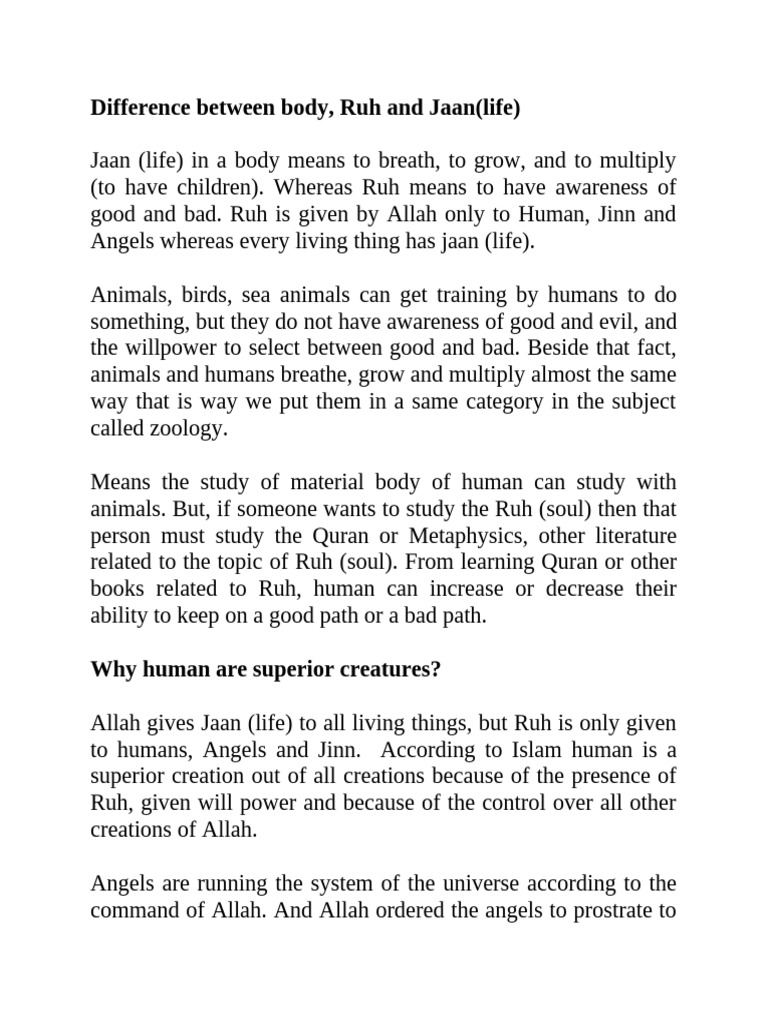 Jaan vs Ruh: Understanding Life and Soul | PDF | God In Islam ...