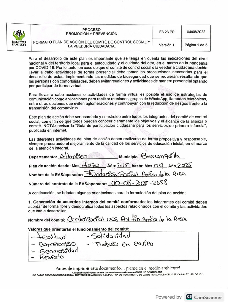 Plan de Acccion de Comite Cintrol Social Cdi Por Fin. | PDF