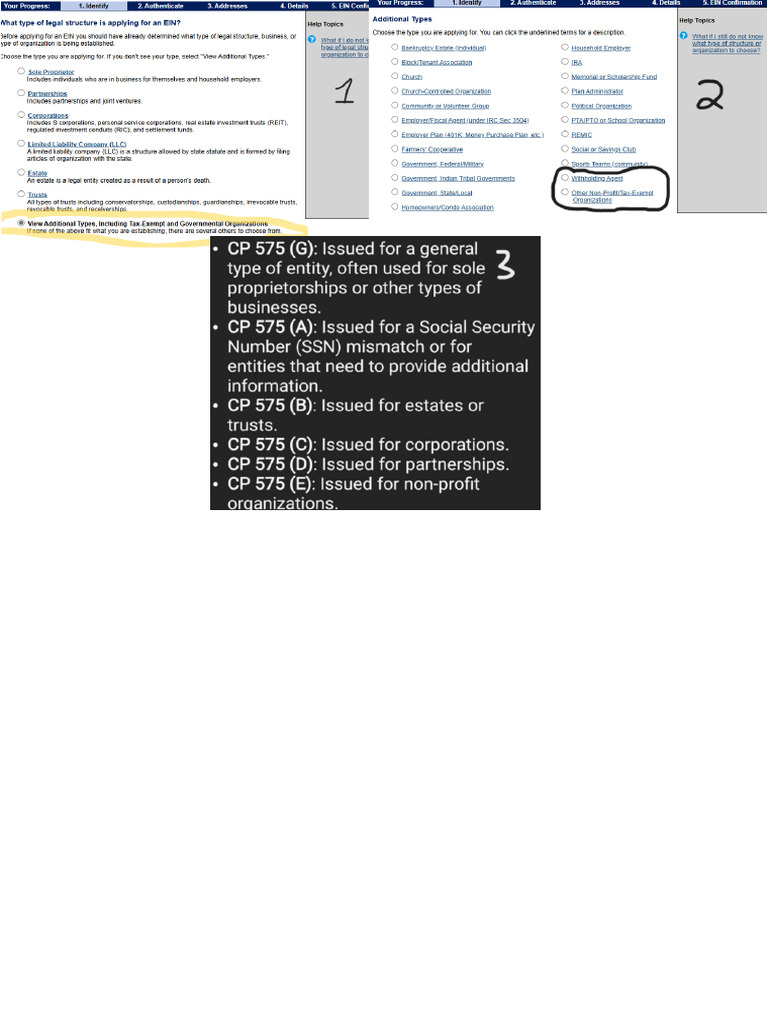 Irs Classification | PDF