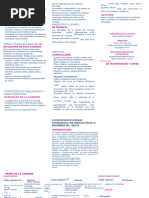 Plan de Estudios Lenguas Extranjeras UNAH | PDF | Lectura (proceso ...